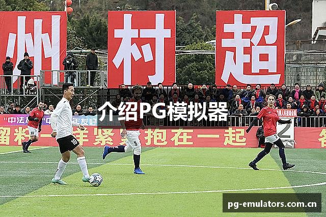 介绍PG模拟器